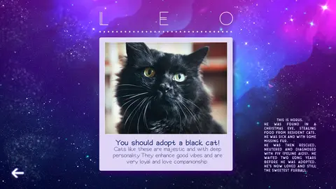 Zodiacats screenshot