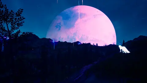 The Companion screenshot