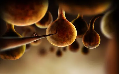 Botanicula screenshot