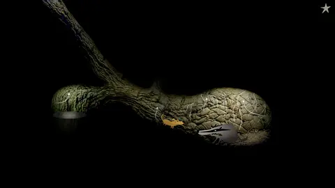 Samorost 2 screenshot