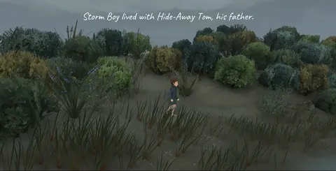 Storm Boy screenshot