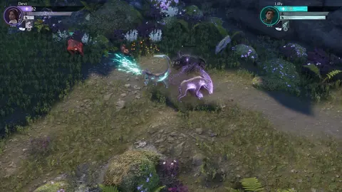 Coridden screenshot