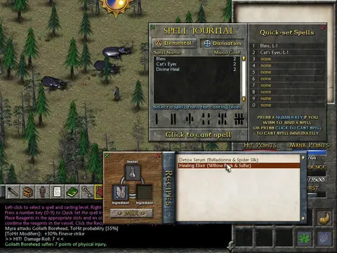 Eschalon: Book II screenshot