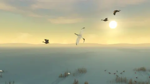 Storm Boy screenshot
