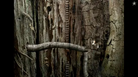 Samorost 2 screenshot