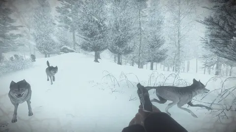 Kona screenshot