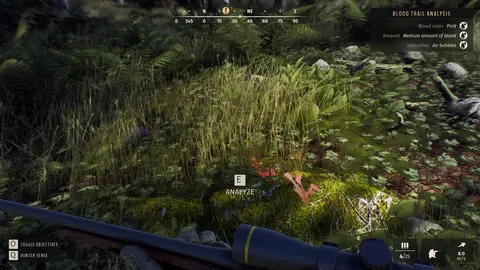 Way of the Hunter screenshot