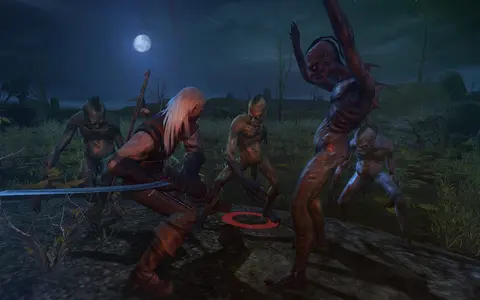 The Witcher: Enhanced Edition screenshot