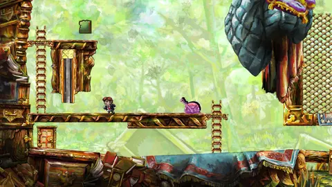 Braid screenshot