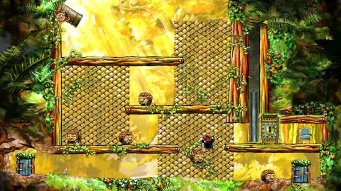 Braid screenshot