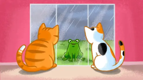 Cats Love Boxes screenshot