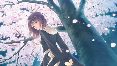 Flowers - Le Volume Sur Printemps screenshot