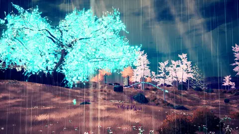 The Companion screenshot