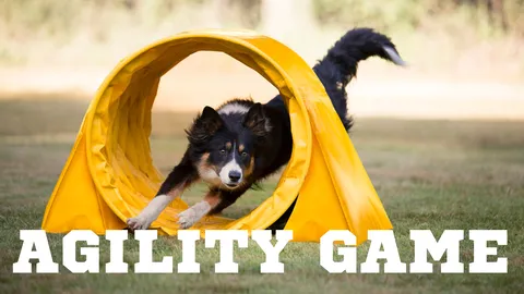 Agility Game screenshot