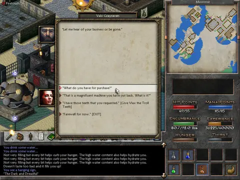 Eschalon: Book III screenshot