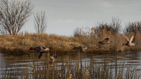 Bult: Hunting Simulator screenshot