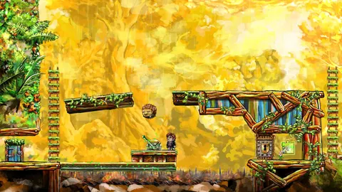 Braid screenshot