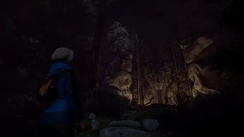 Through the Woods screenshot