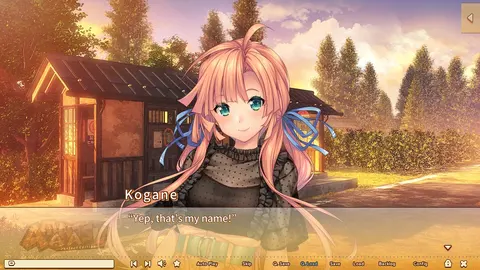 AMANATSU ~Perfect Edition~ screenshot