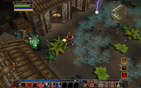 Din's Curse screenshot