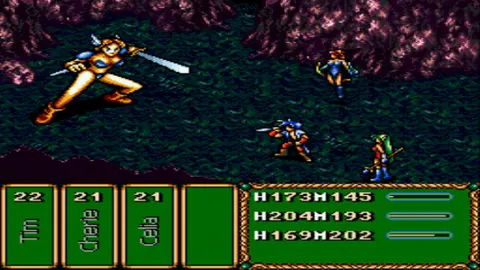Brave Battle Saga - The Legend of The Magic Warrior screenshot