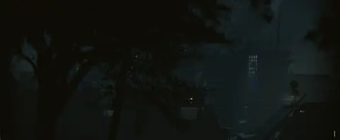 Orphan screenshot