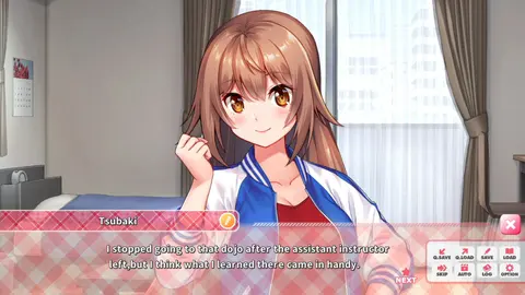 IdolDays screenshot