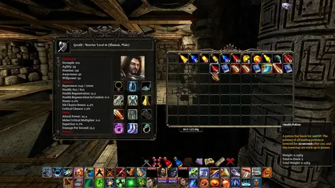 The Fall of the Dungeon Guardians - Enhanced Edition screenshot