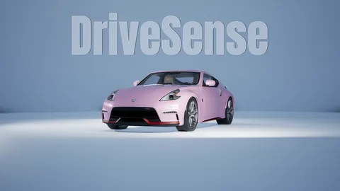 DriveSense screenshot