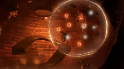 Papetura screenshot