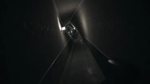 Visage screenshot