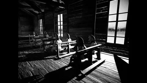 HORSES screenshot