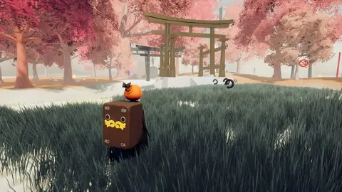Torii screenshot