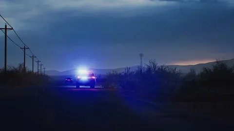 Highway Police Simulator screenshot