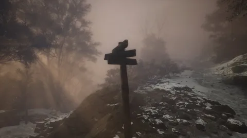 Lushfoil Photography Sim screenshot
