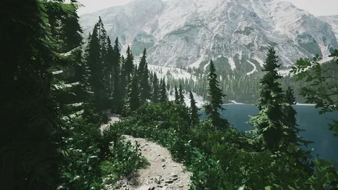 Lushfoil Photography Sim screenshot