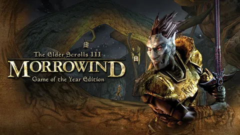 The Elder Scrolls III: Morrowind® Game of the Year Edition screenshot
