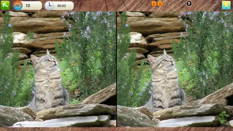 Peaceful Gardens 2: Cute Cats Collector's Edition screenshot