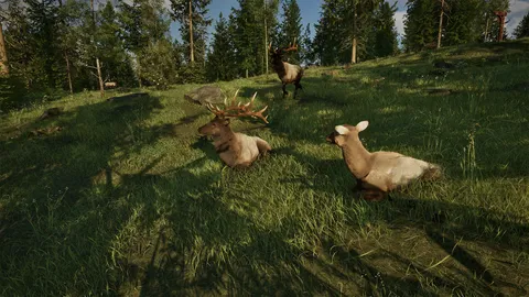 Ranger’s Path: National Park Simulator screenshot