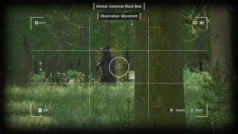 Ranger’s Path: National Park Simulator screenshot