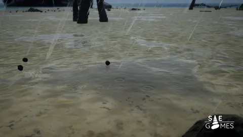 SAE screenshot
