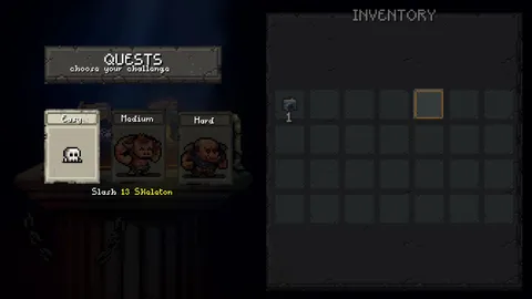 Sir Questionnaire screenshot