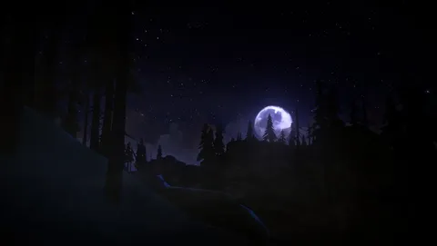 The Long Dark screenshot