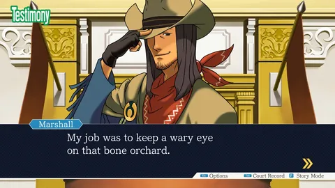 Phoenix Wright: Ace Attorney Trilogy screenshot