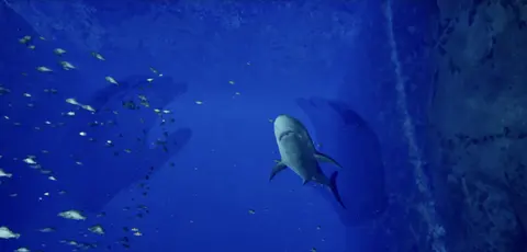 Aquarium at August 32nd VR screenshot