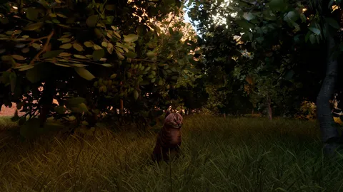 City of Cats screenshot