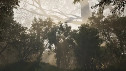 Calming Forest screenshot