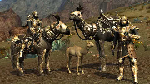The Lord of the Rings Online™ screenshot