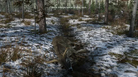 Deer Hunting Camp screenshot