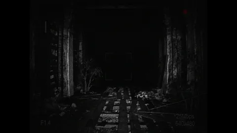 [REC] Desolation screenshot
